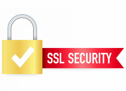 Is your website using SSL and why you should care?