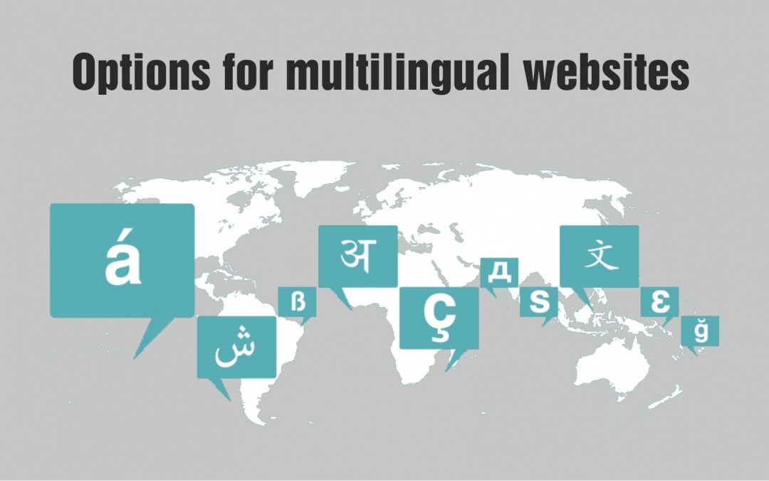 Options for multilingual websites